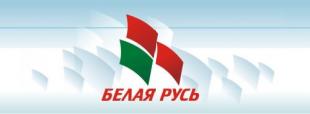 Преподаватели БГПУ, члены 
