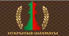 Сайт Белорусской федерации шахмат. Сеанс с Борисом Гельфандом в БГПУ